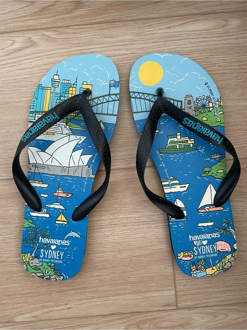 Sydney Exclusive Havaianas❤️ Men’s 9/10